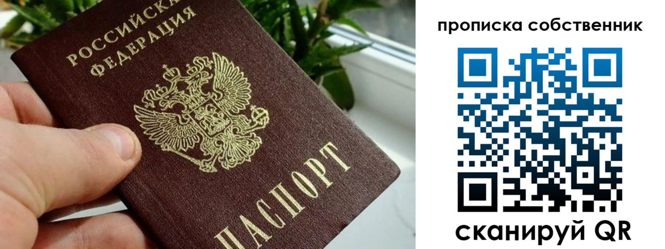 найти адрес прописки в Березниках